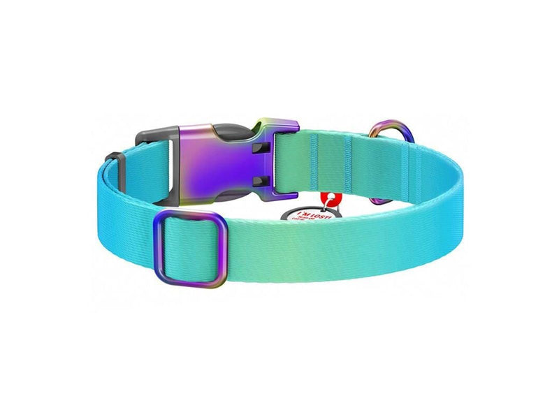 Waudog gradient nylon dog collar with QR code blue  size M