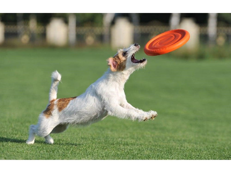 Waudog Frisbee/disc 24 cm orange