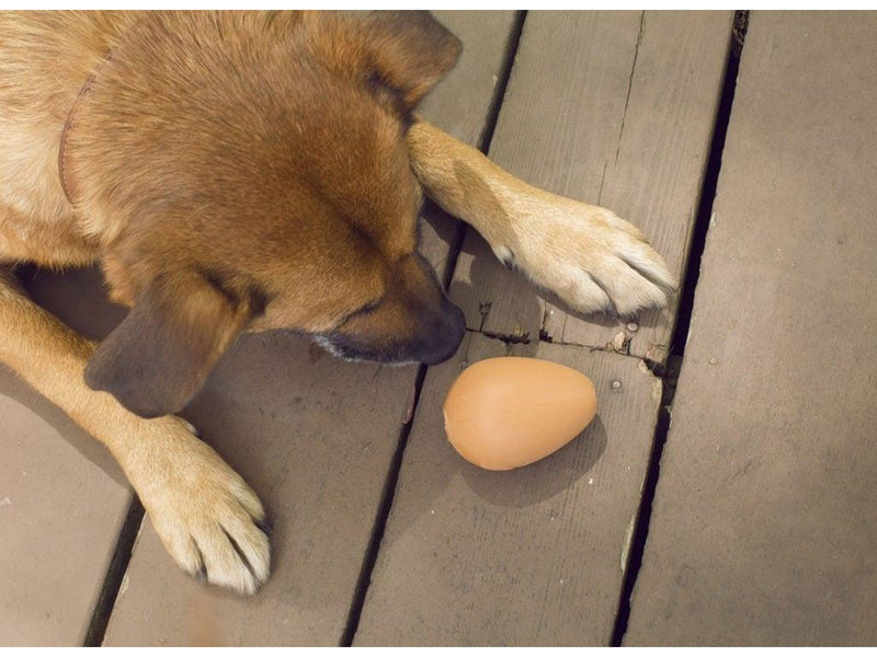 Kikkerland Bouncy Egg Treat Ball