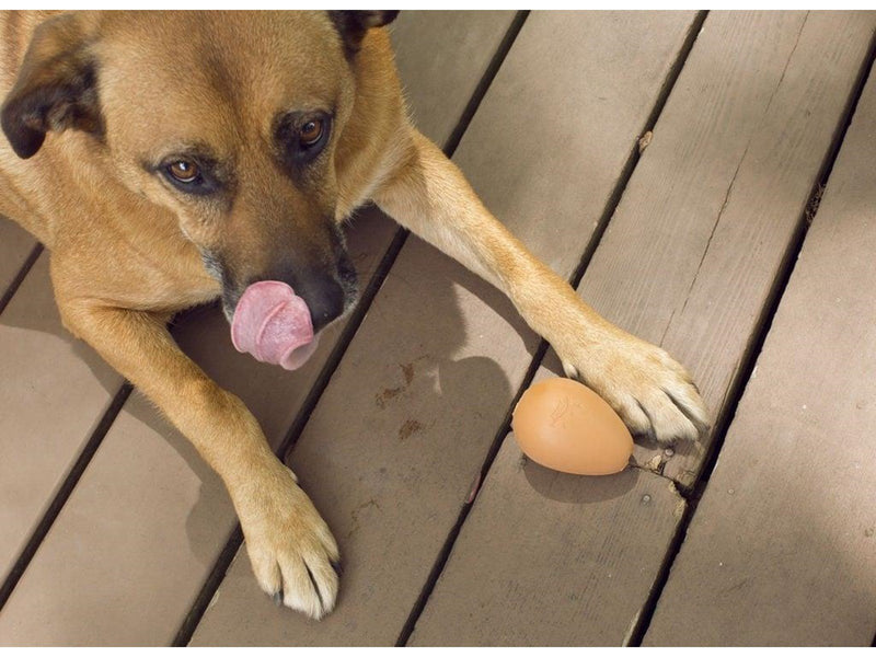 Kikkerland Bouncy Egg Treat Ball