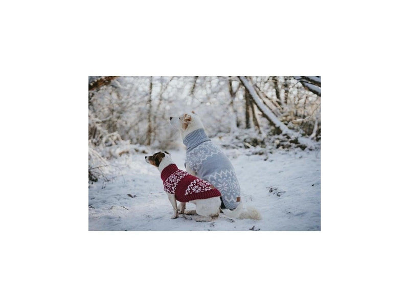 Hunter - Dogcoat Birka 35 red - (203470)