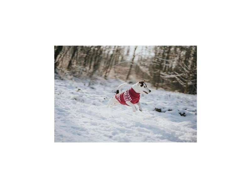 Hunter - Dogcoat Birka 45 red - (203472)