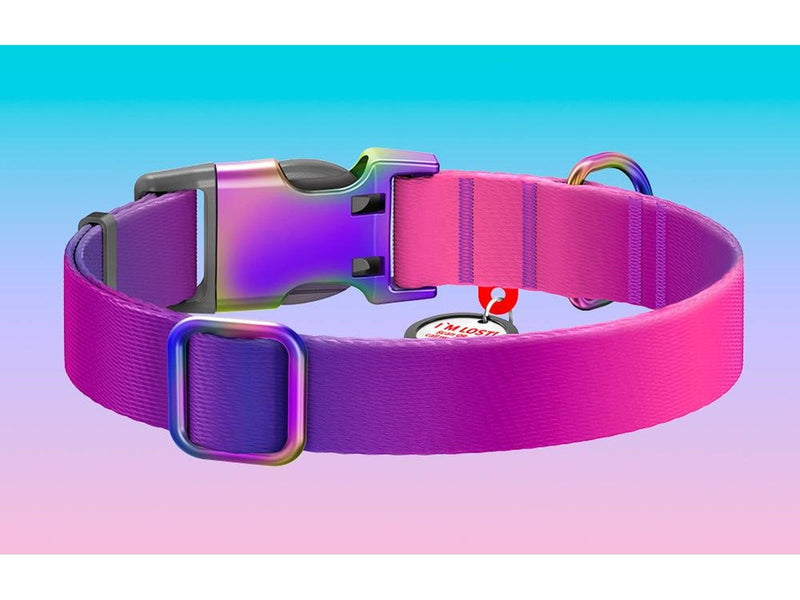 Waudog gradient nylon dog collar with QR code purple size L