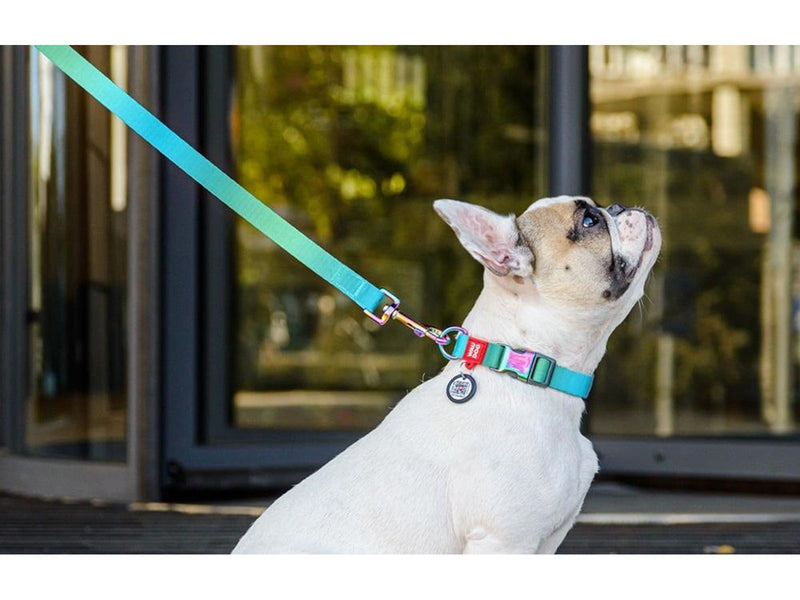 Waudog Nylon collar with QR code for gradient dog blue size XL