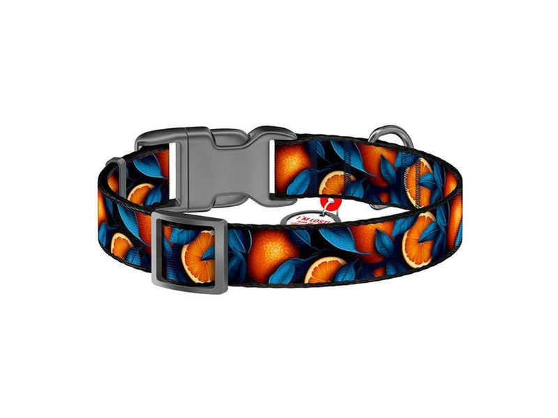 Waudog "Oranges" nylon dog collar with QR code size XL