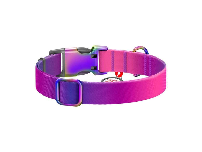 Waudog gradient nylon dog collar with QR code purple size XL