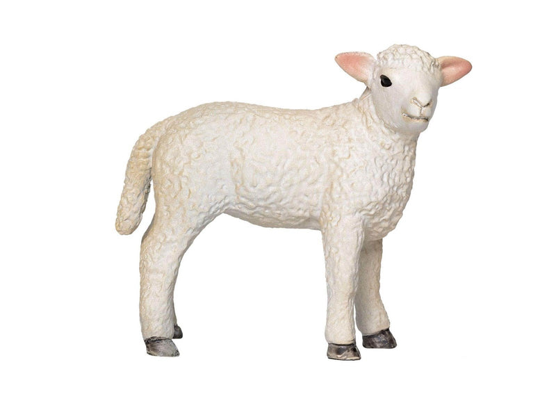 Mojo - Farmland Romney Lamb Standing - 381065
