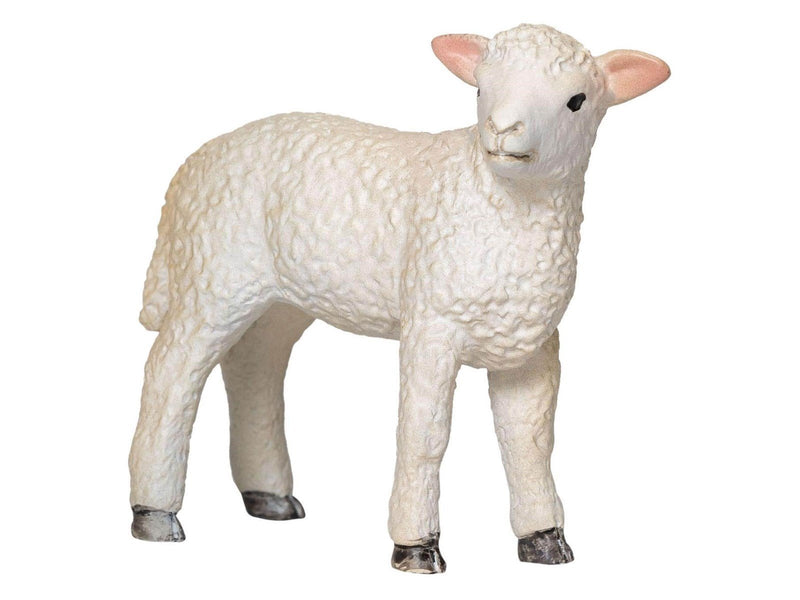 Mojo - Farmland Romney Lamb Standing - 381065