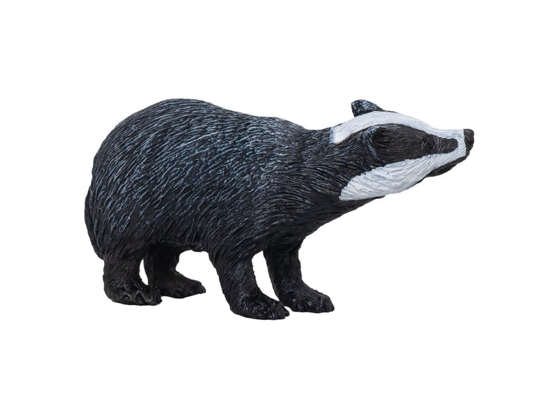 Mojo - Wildlife Badger