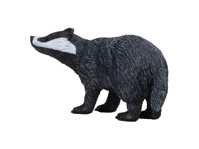 Mojo - Wildlife Badger
