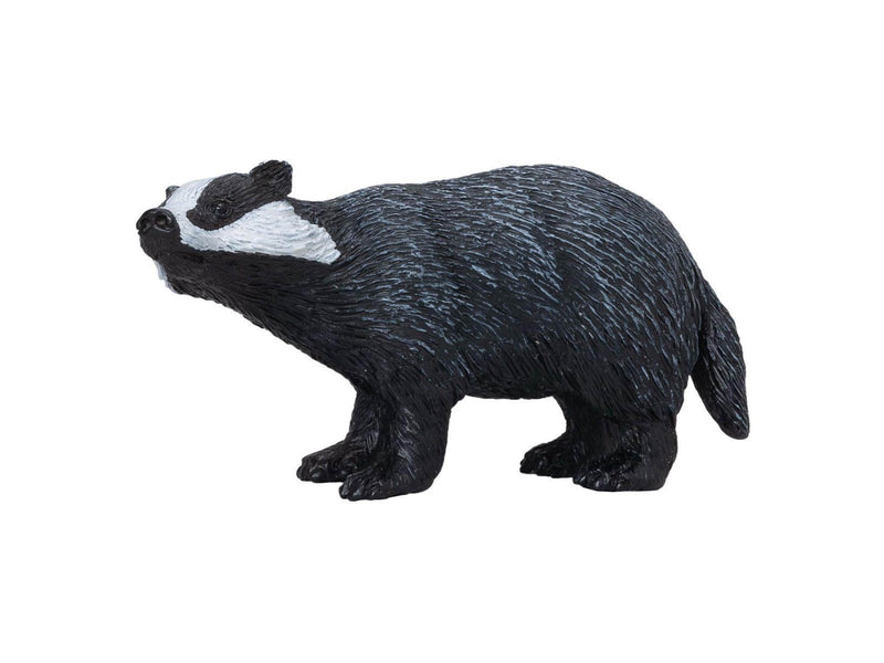 Mojo - Wildlife Badger