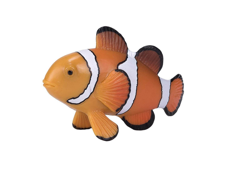 Mojo - Sealife Clownfish