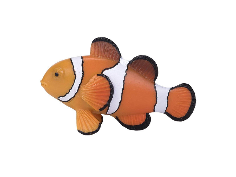 Mojo - Sealife Clownfish