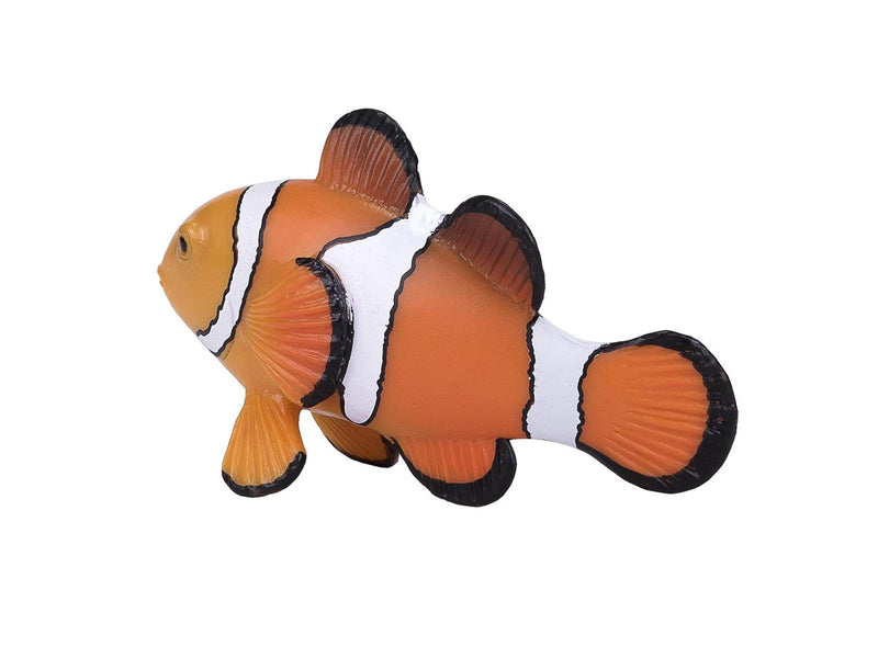 Mojo - Sealife Clownfish