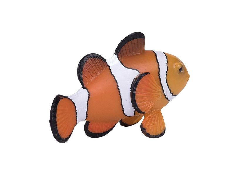 Mojo - Sealife Clownfish