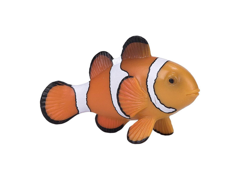 Mojo - Sealife Clownfish