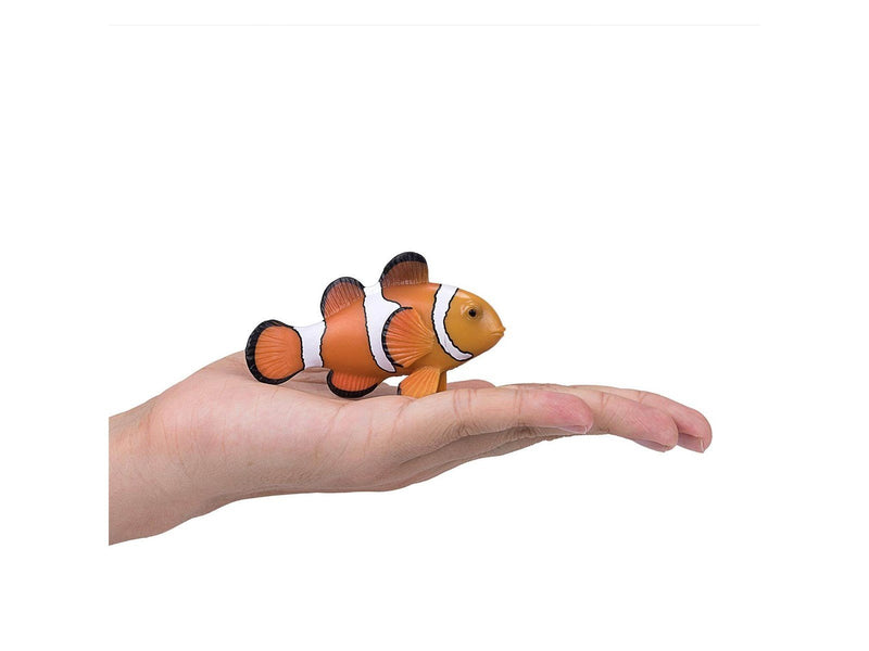 Mojo - Sealife Clownfish