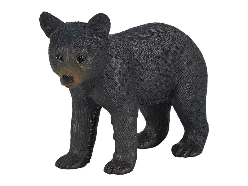 Mojo - Wildlife Black Bear
