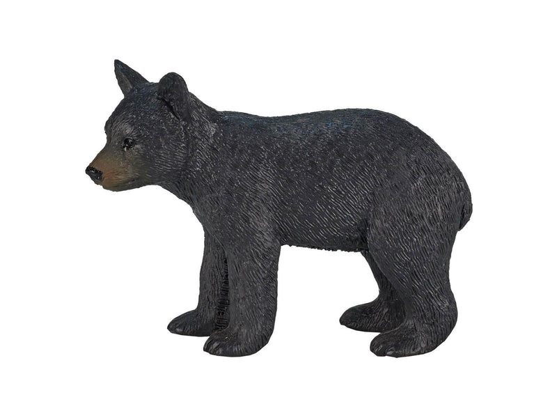 Mojo - Wildlife Black Bear