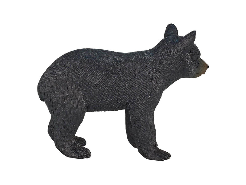 Mojo - Wildlife Black Bear