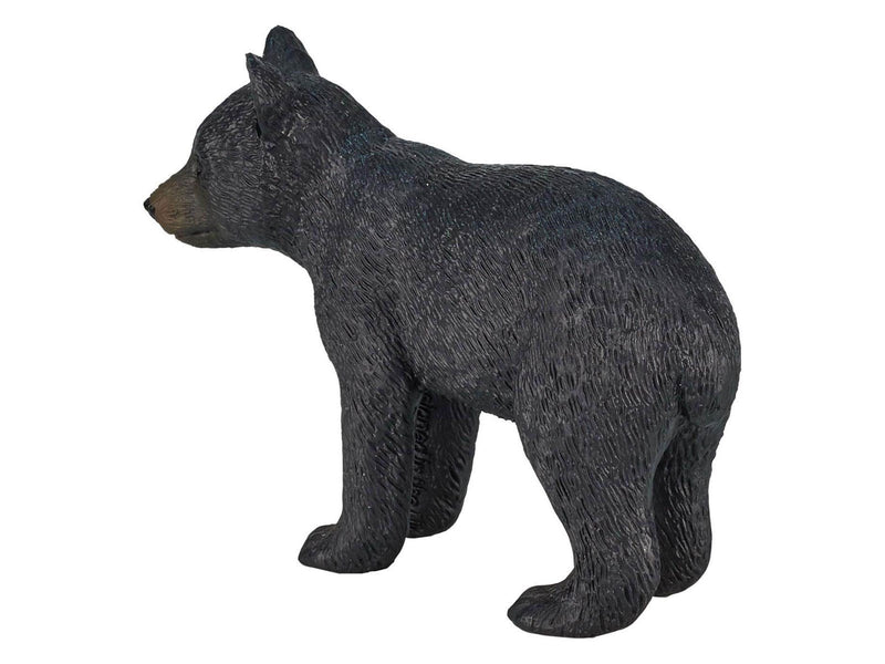 Mojo - Wildlife Black Bear