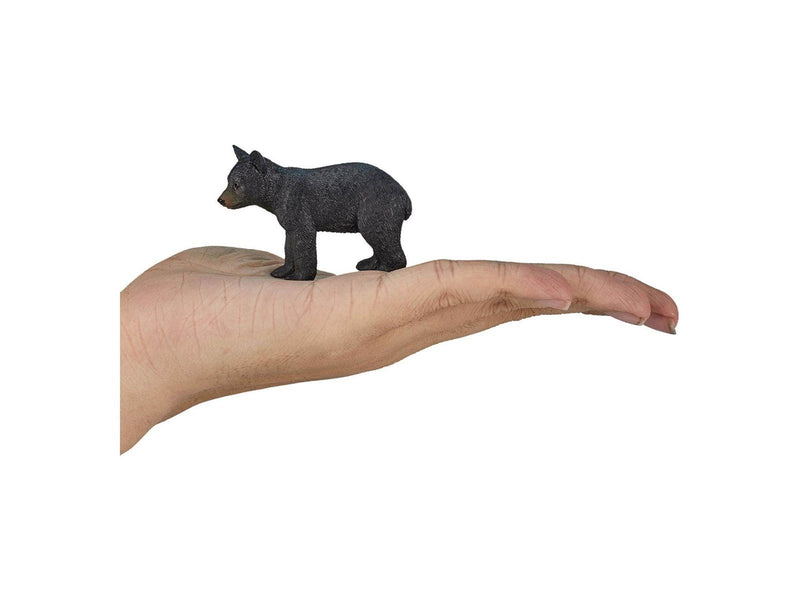 Mojo - Wildlife Black Bear