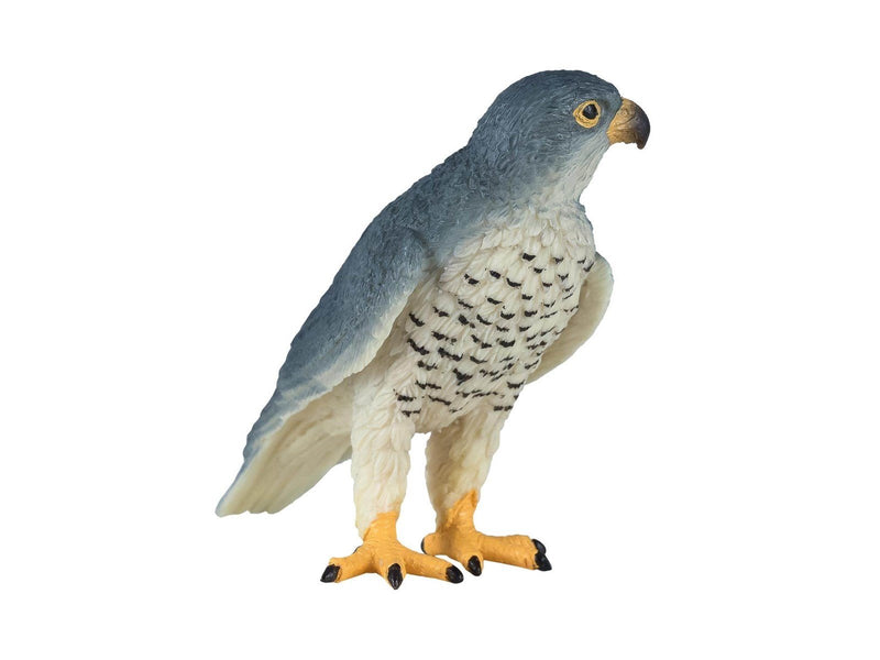 Mojo - Wildlife Peregrine Falcon - 381056