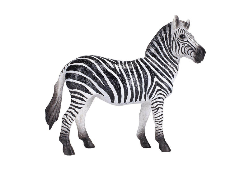 Mojo - Wildlife Zebra