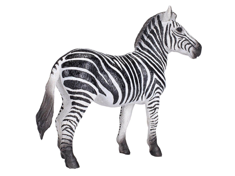 Mojo - Wildlife Zebra