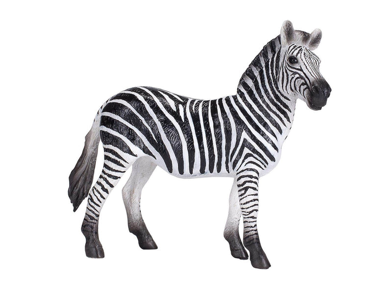 Mojo - Wildlife Zebra