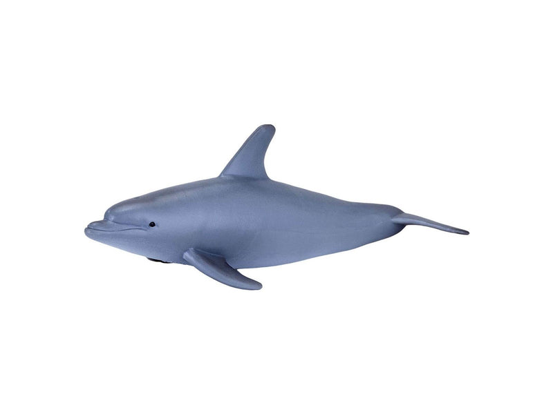 Mojo - Sealife Bottlenose Dolphin - 387118