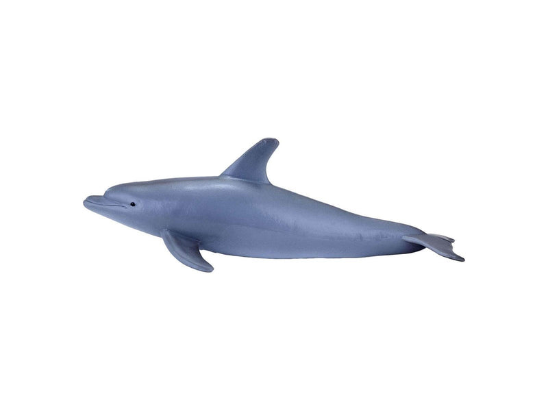 Mojo - Sealife Bottlenose Dolphin - 387118
