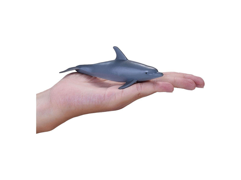 Mojo - Sealife Bottlenose Dolphin - 387118