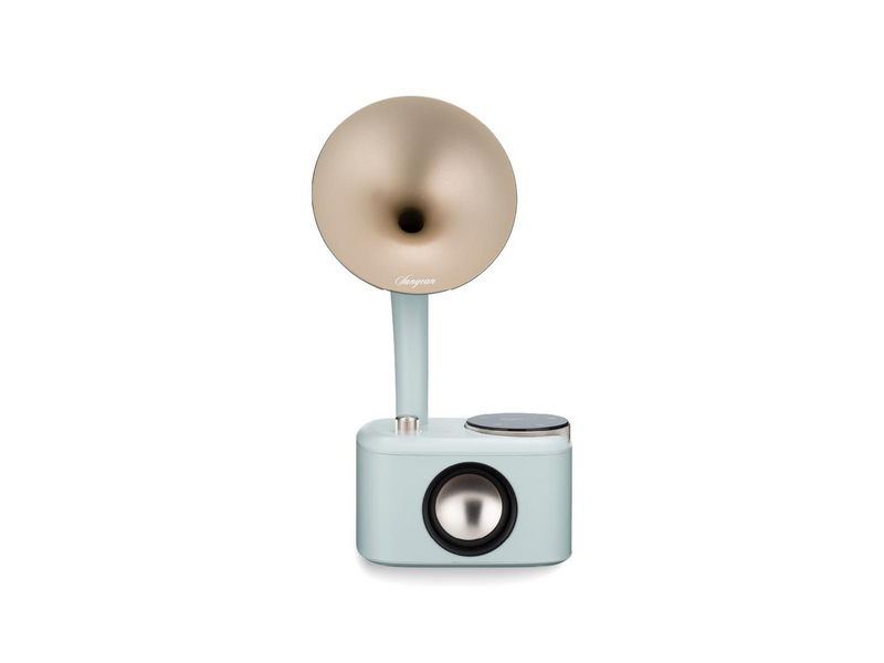Sangean CP-100D - DAB/DAB+/FM
