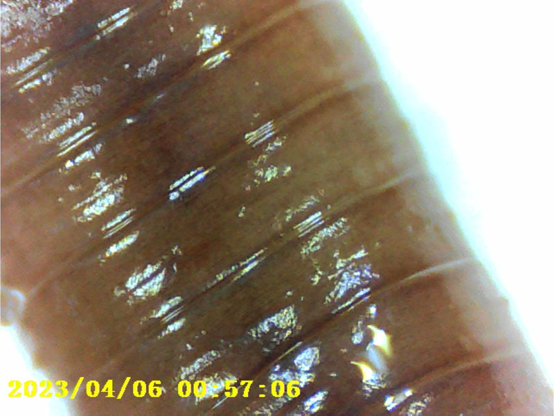 DENVER MSC-255 – Digital Microscope with 1000x Magnification