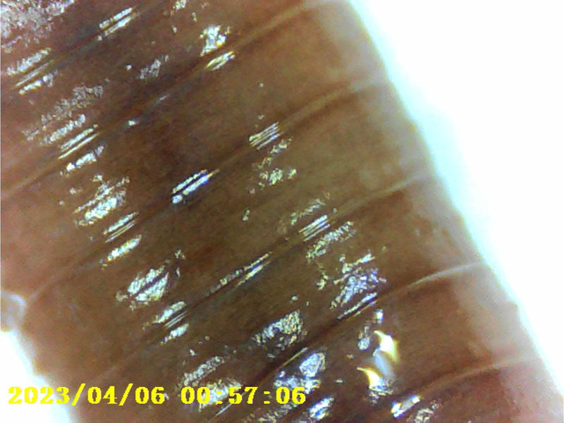 DENVER MSC-255 – Digital Microscope with 1000x Magnification