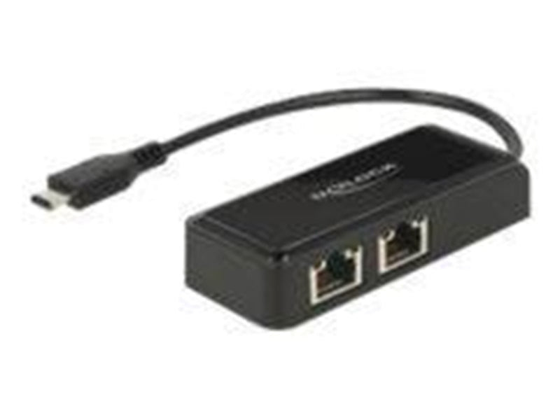 DeLOCK Adapter USB-C 3.1 Gen 1  2 x Gigabit LAN 10/100/1000 Mb/s