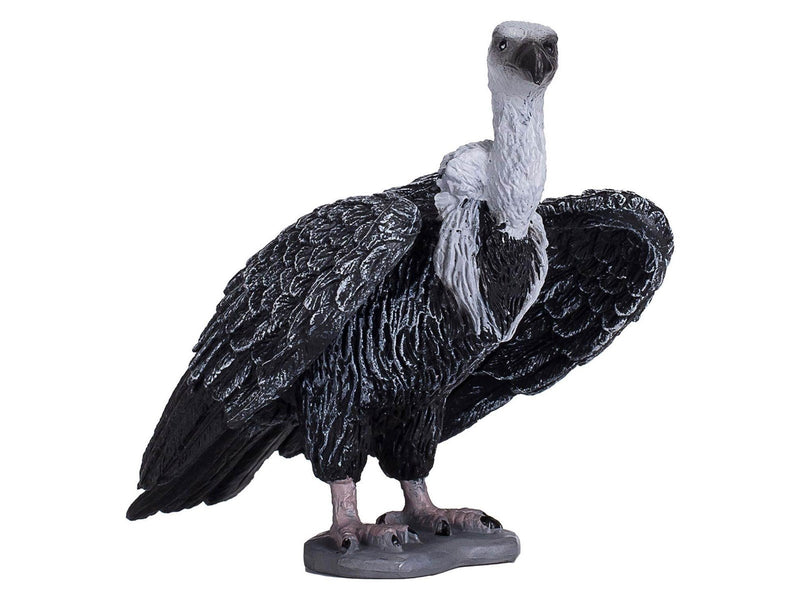Mojo - Wildlife Griffon Vulture - 387165