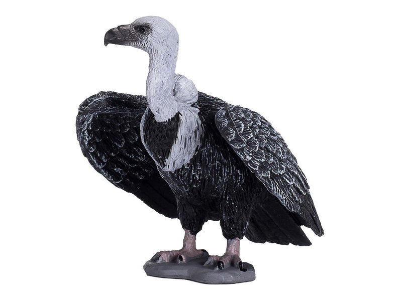 Mojo - Wildlife Griffon Vulture - 387165