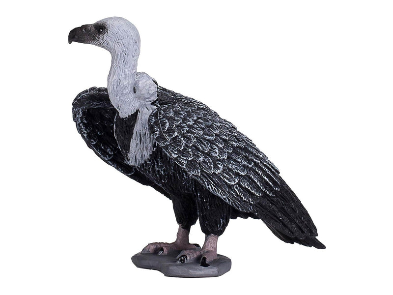 Mojo - Wildlife Griffon Vulture - 387165