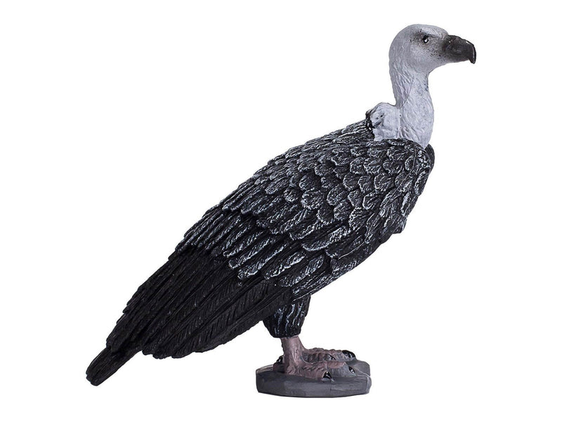 Mojo - Wildlife Griffon Vulture - 387165
