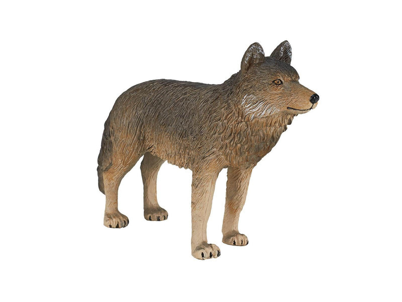 Mojo - Wildlife Timber Wolf Standing