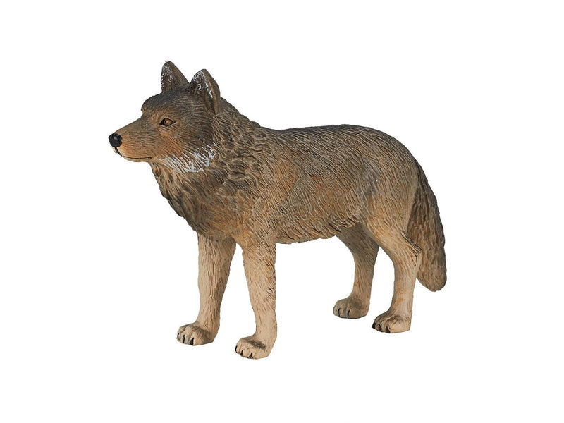 Mojo - Wildlife Timber Wolf Standing
