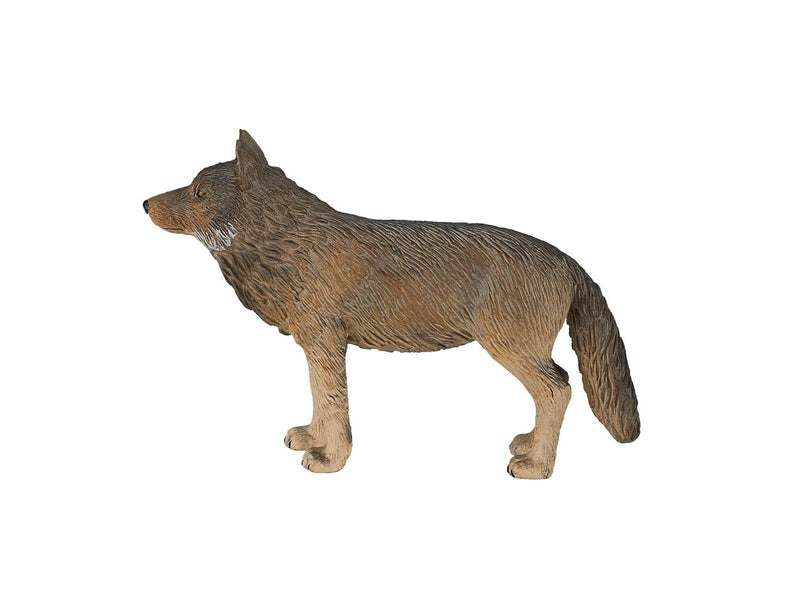 Mojo - Wildlife Timber Wolf Standing