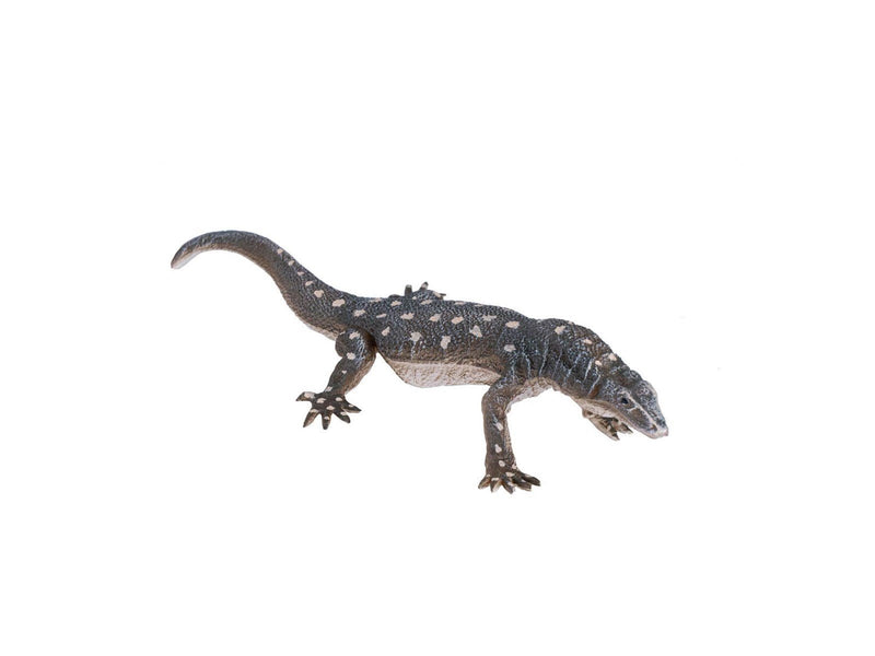 Mojo - Wildlife Perentie Lizard - 381061