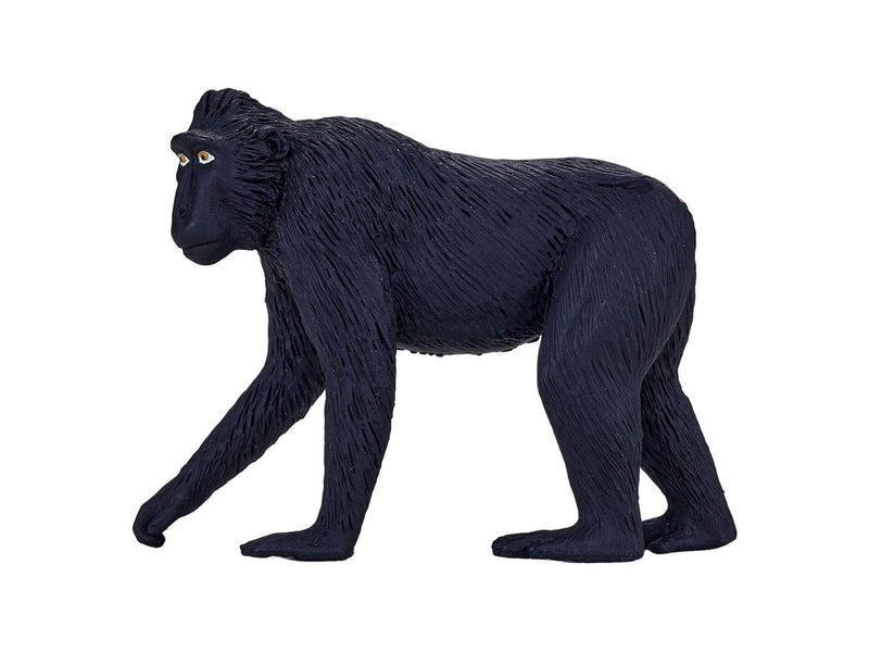 Mojo - Wildlife Black-crowned Macaque