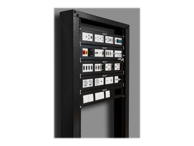DeLOCK Patch Panel - 2U - 19"