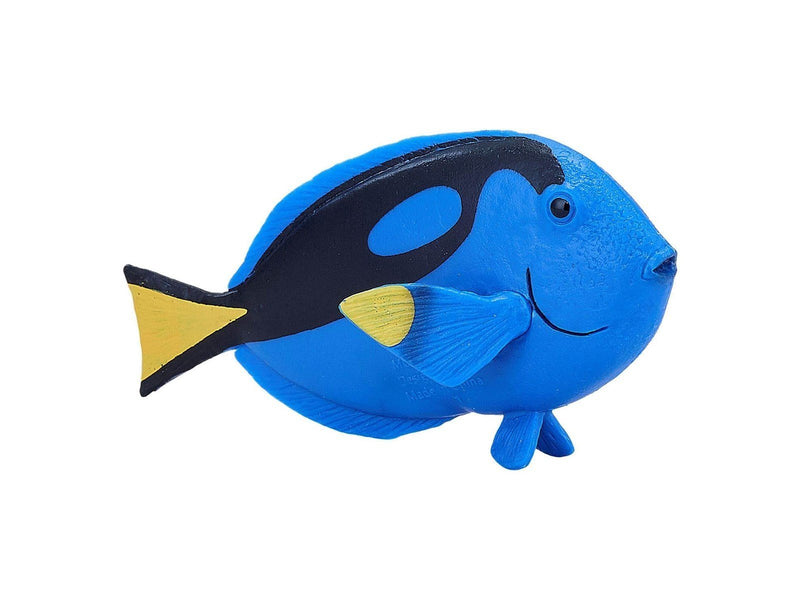 Mojo - Sealife Blue Tang Fish