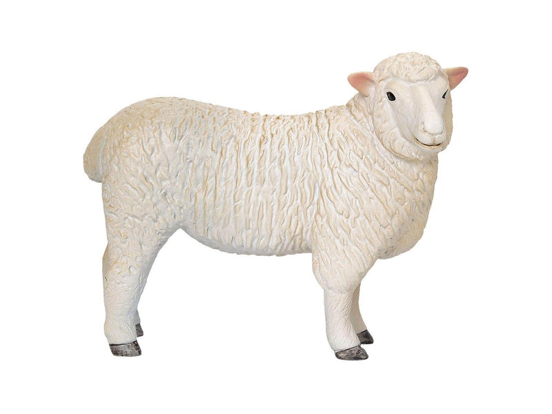 Mojo - Farmland Romney Sheep Ewe