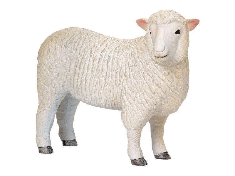 Mojo - Farmland Romney Sheep Ewe